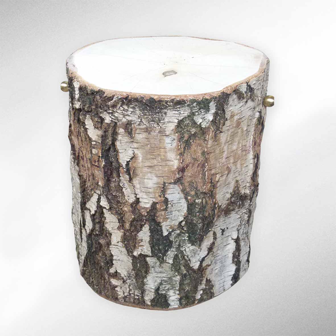 Baumstammurne für Tierbestattungen: Birken Baumurne - Unikate aus Baumstämmen gefertigt | Tierurne