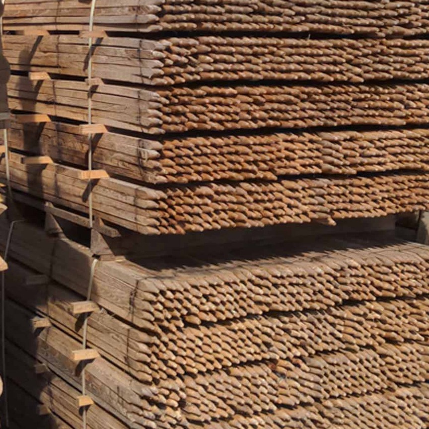 Pflanzstecken aus Robinienholz